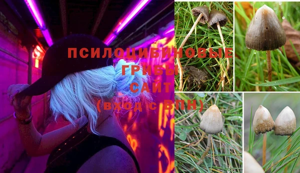 бошки Аркадак