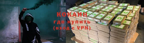 бошки Аркадак