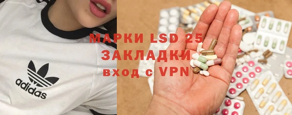 гидра Каменногорск