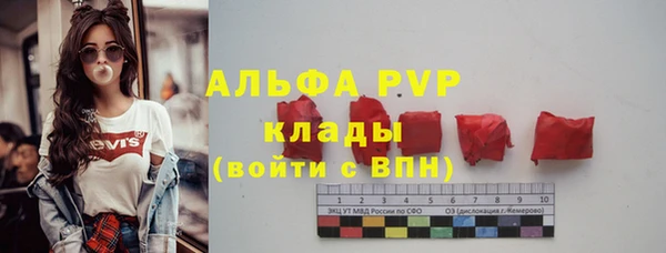 спиды Арсеньев