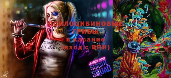 таблы Армянск