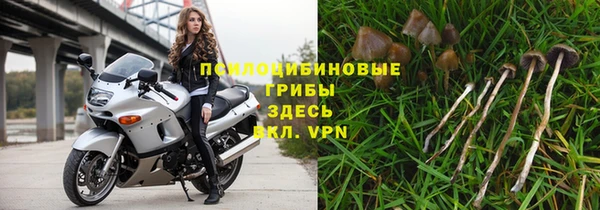 спиды Арсеньев