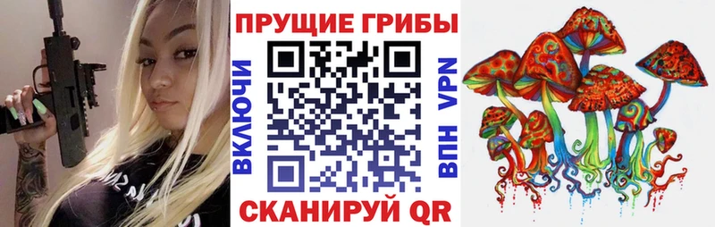 Галлюциногенные грибы Psilocybe  ОМГ ОМГ   Кинель 