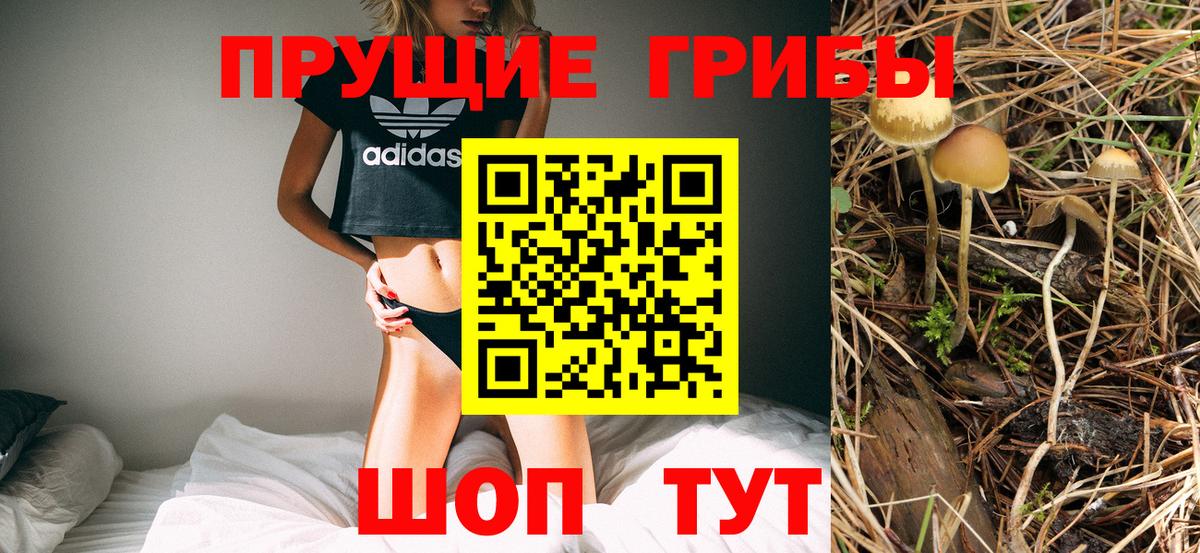 Галлюциногенные грибы Cubensis Кинель